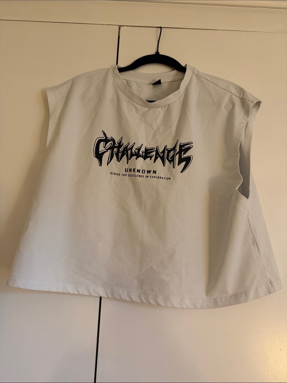Unknown "Challenge" Graphic Sleeveless Crop Top in Light Gray